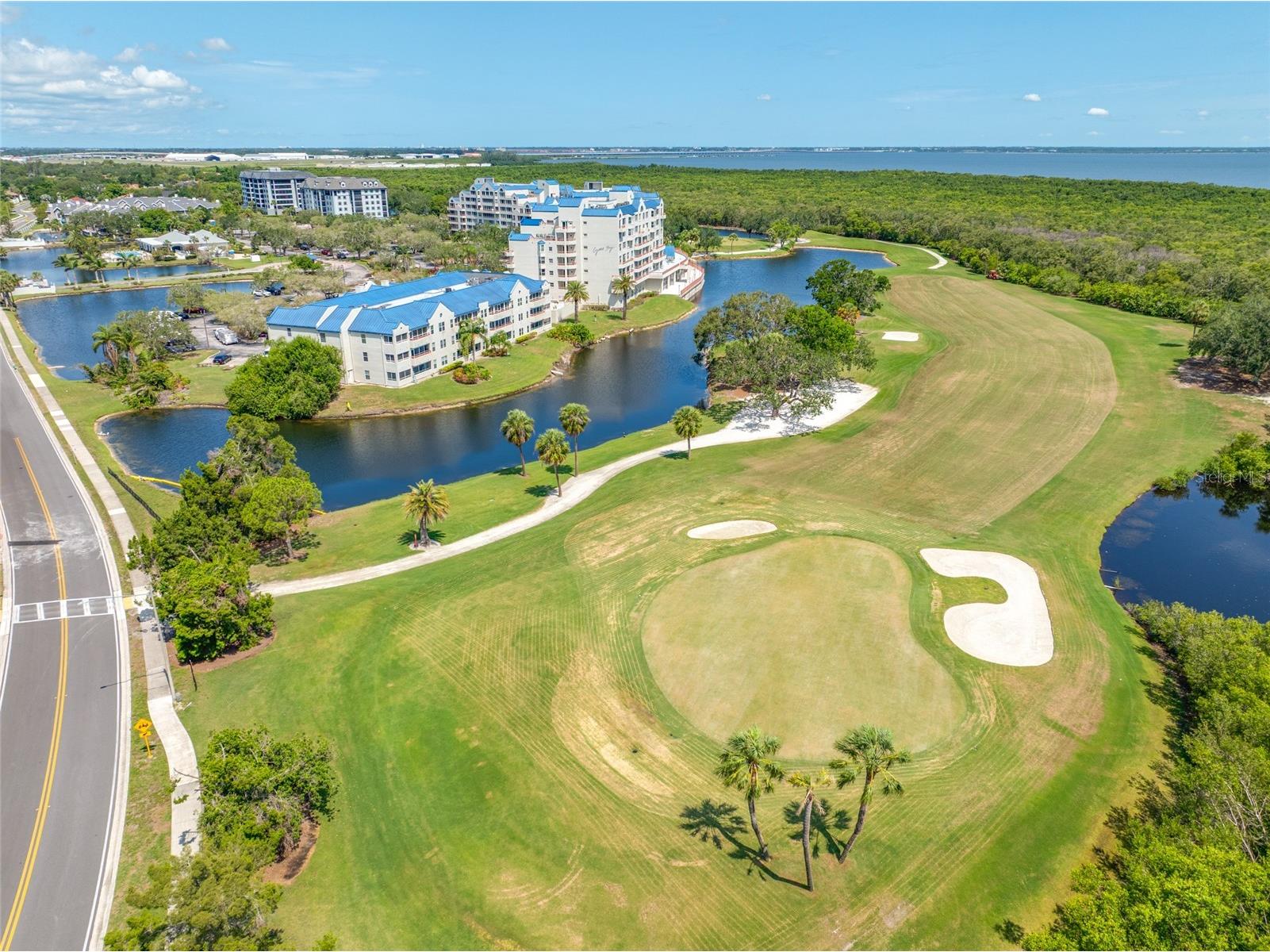 2333 Feather Sound Drive #A107 Clearwater FL 33762 TB8480586 image6
