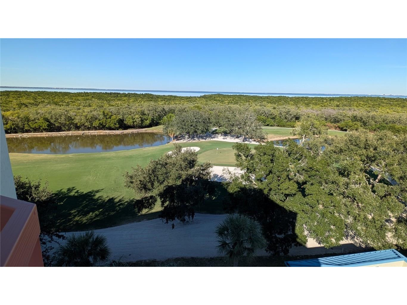 2333 Feather Sound Drive #A208 Clearwater FL 33762 O6359533 image45