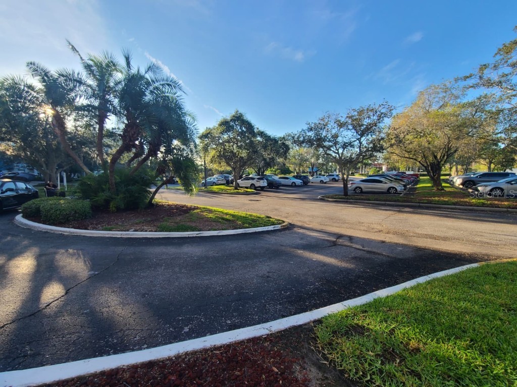 2333 Feather Sound Drive #A208 Clearwater FL 33762 O6359533 image5