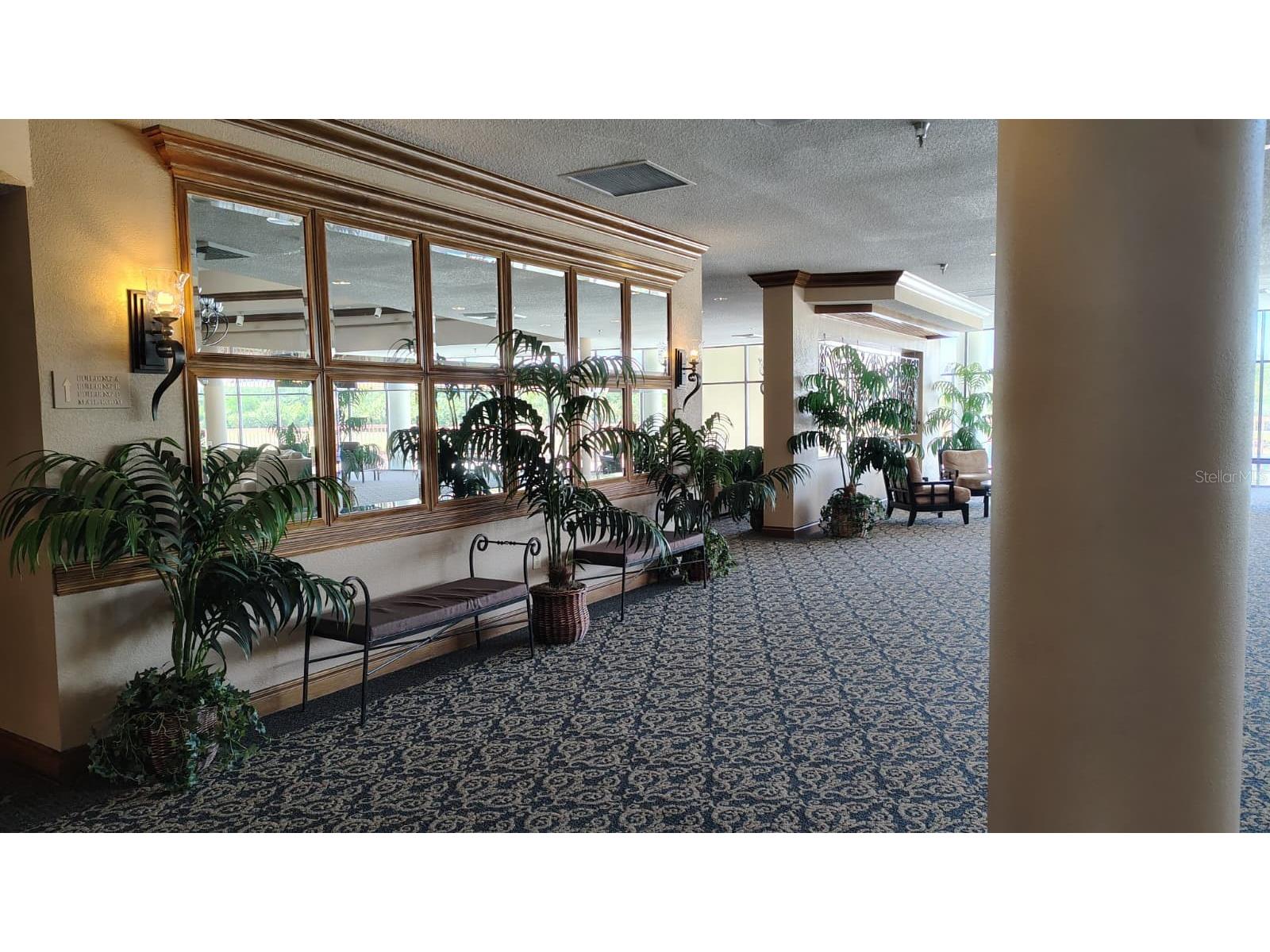 2333 Feather Sound Drive #A208 Clearwater FL 33762 O6409788 image16