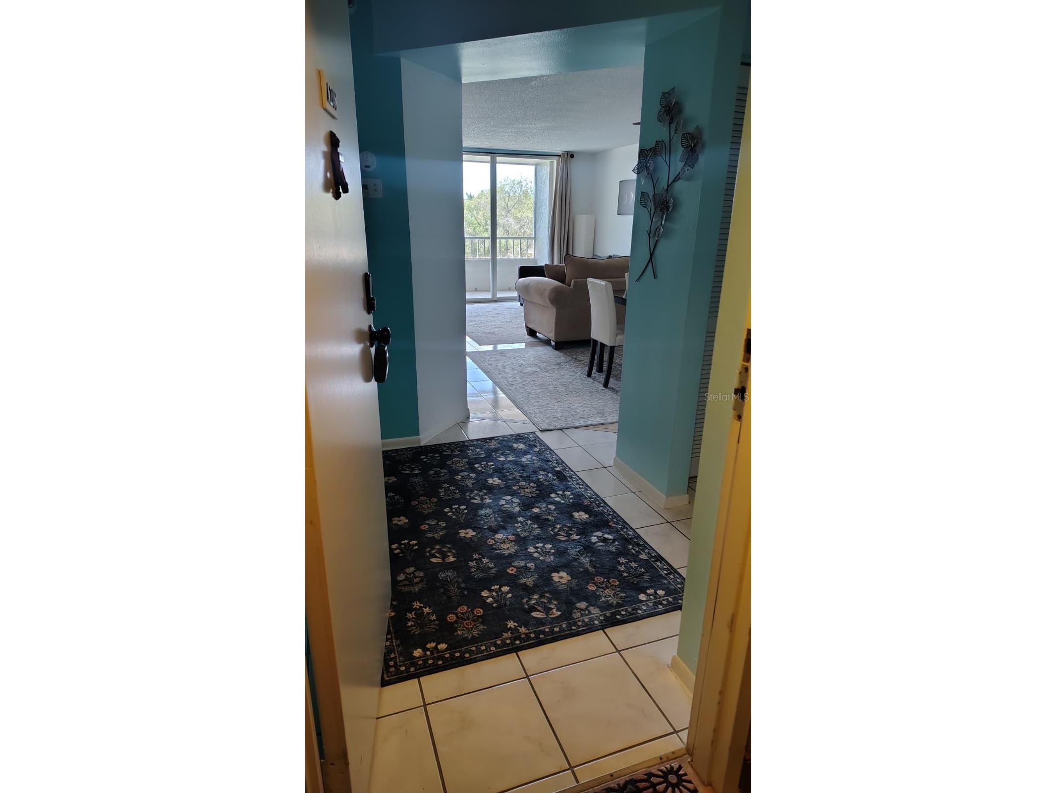 2333 Feather Sound Drive #A208 Clearwater FL 33762 O6409788 image18