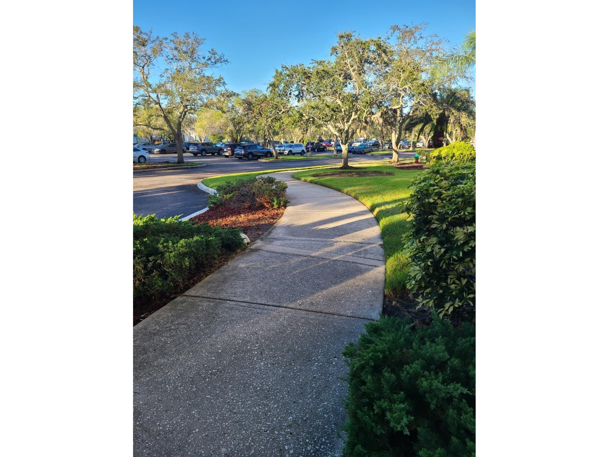 2333 Feather Sound Drive #A208 Clearwater FL 33762 O6409788 image7