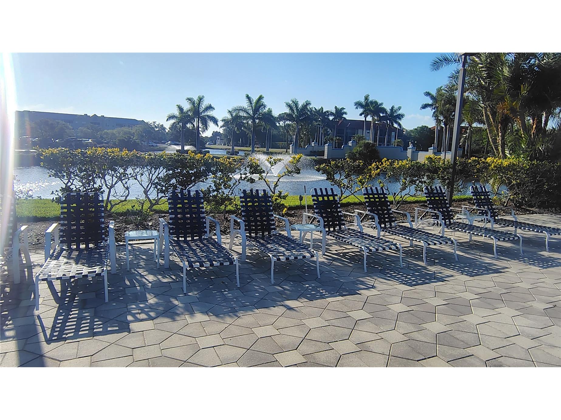 2333 Feather Sound Drive #A208 Clearwater FL 33762 O6409788 image70