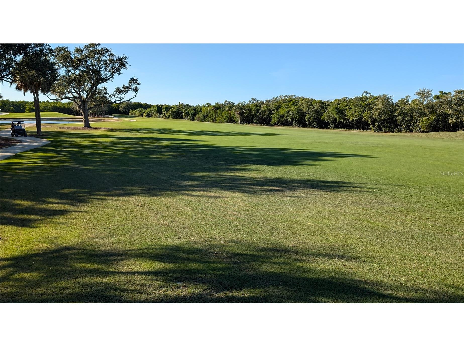 2333 Feather Sound Drive #A208 Clearwater FL 33762 O6409788 image75