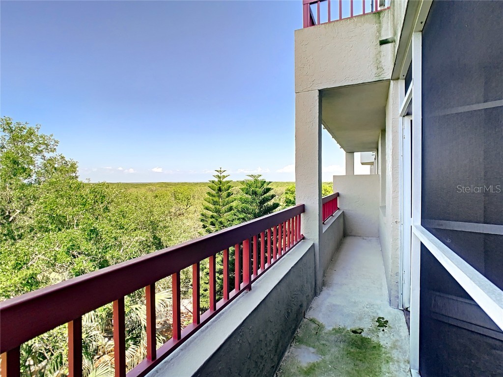 2333 Feather Sound Drive #A503 Clearwater FL 33762 TB8444518 image42