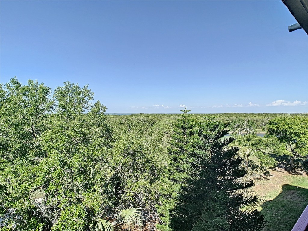 2333 Feather Sound Drive #A503 Clearwater FL 33762 TB8444518 image44