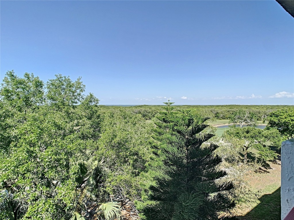 2333 Feather Sound Drive #A503 Clearwater FL 33762 TB8444518 image45