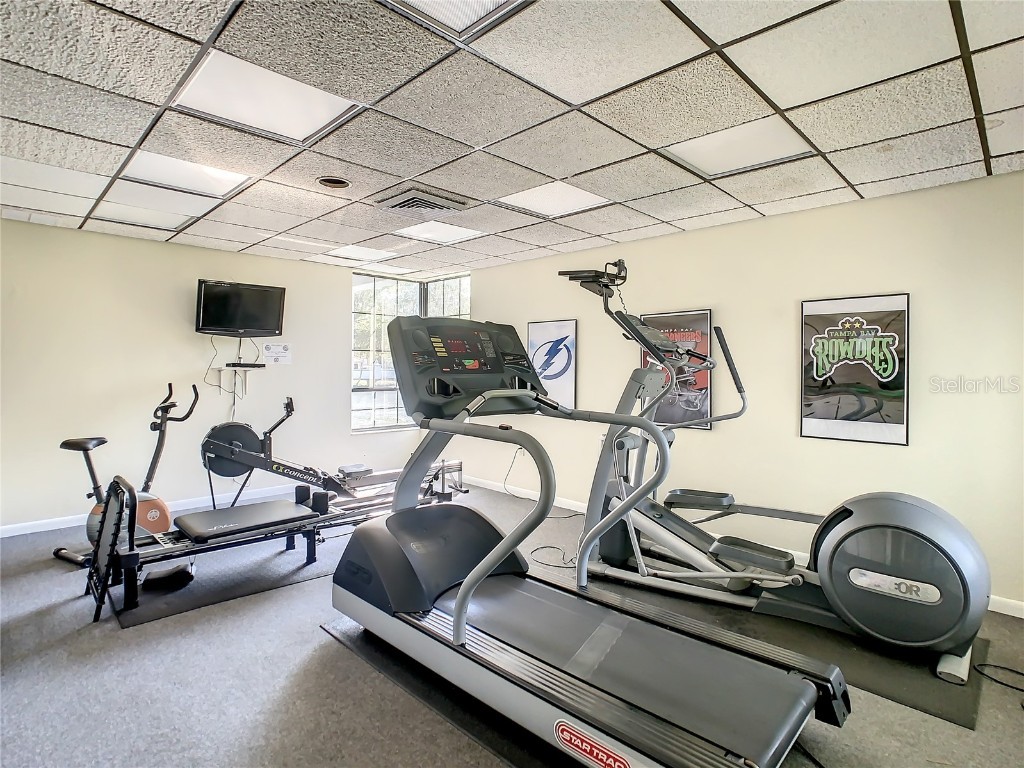 2333 Feather Sound Drive #A503 Clearwater FL 33762 TB8444518 image62