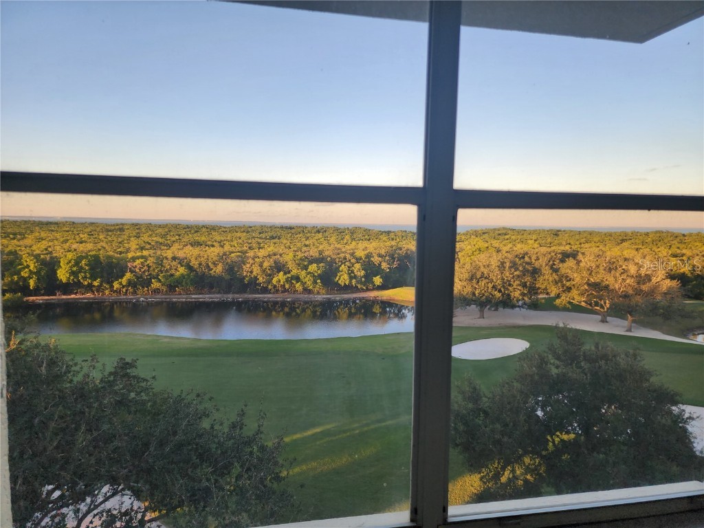 2333 Feather Sound Drive #A607 Clearwater FL 33762 TB8404104 image21