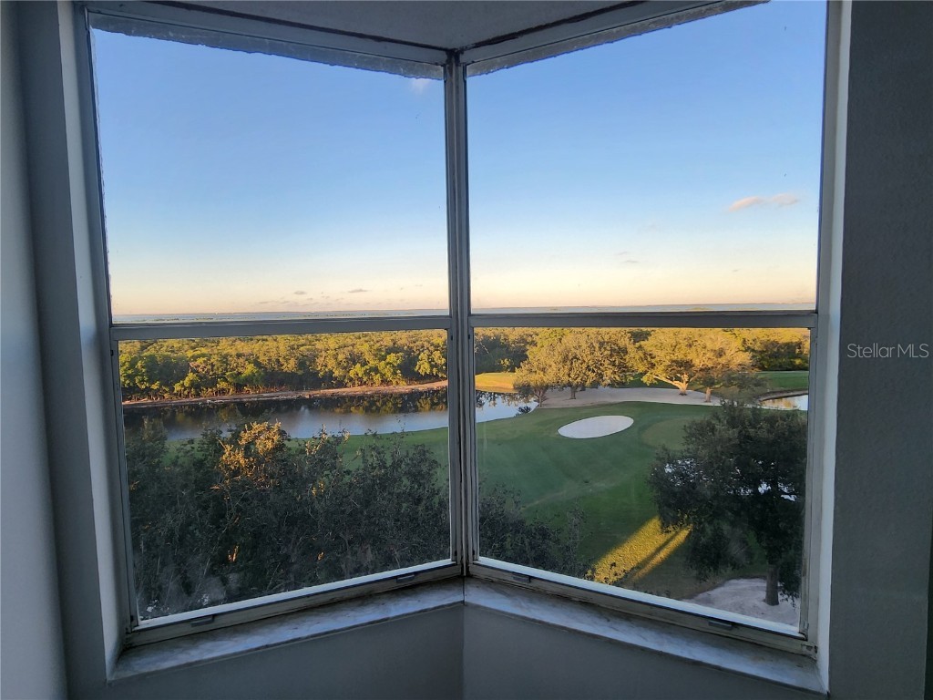 2333 Feather Sound Drive #A607 Clearwater FL 33762 TB8404104 image24