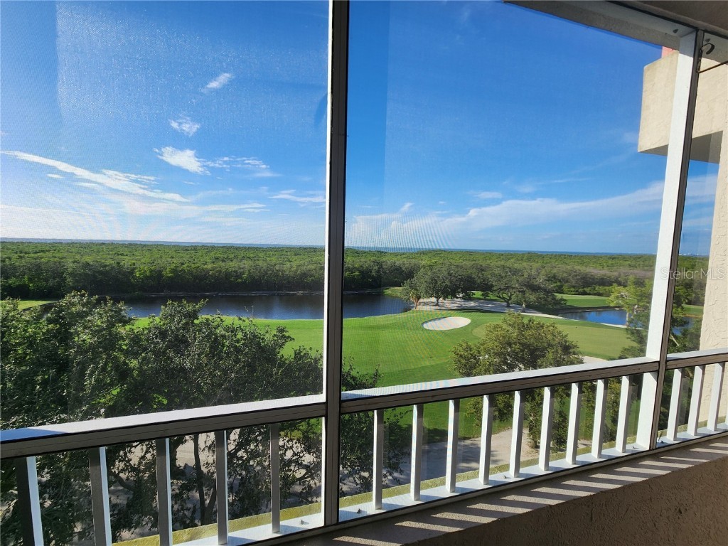 2333 Feather Sound Drive #A607 Clearwater FL 33762 TB8404104 image4