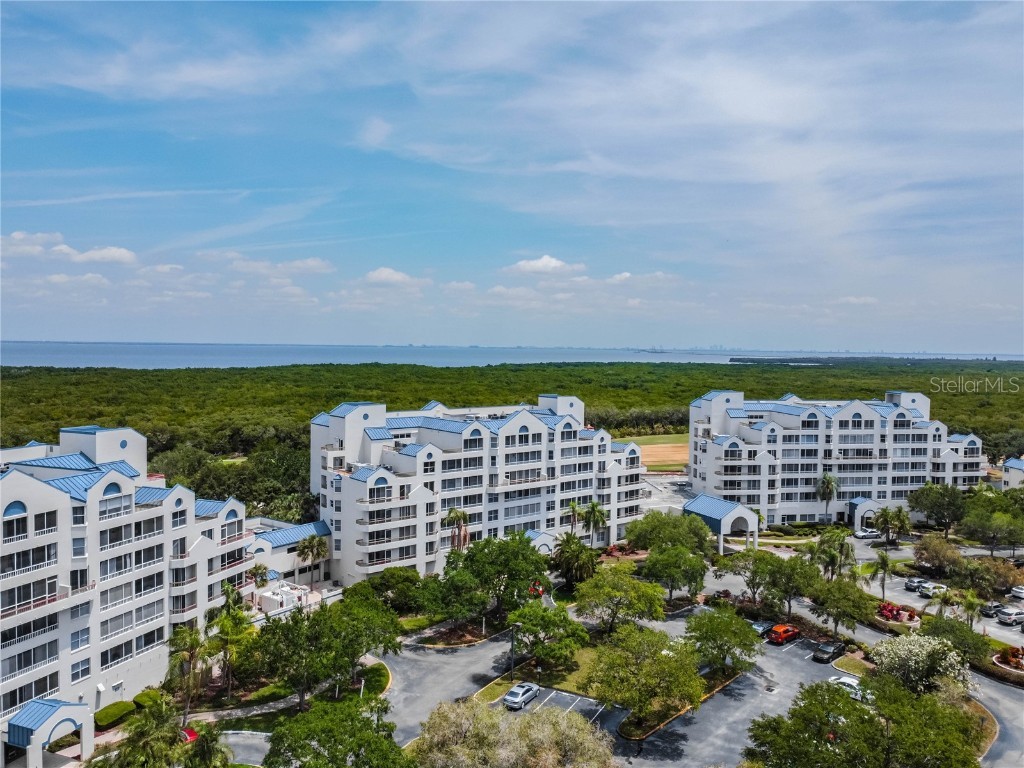 2333 Feather Sound Drive #B101 Clearwater FL 33762 TB8320706 image24