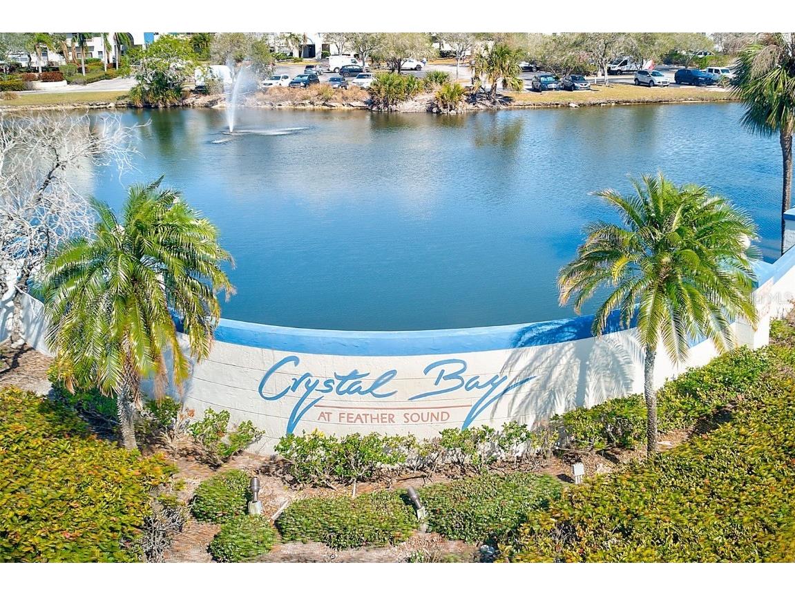 2333 Feather Sound Drive #B101 Clearwater FL 33762 TB8359793 image24