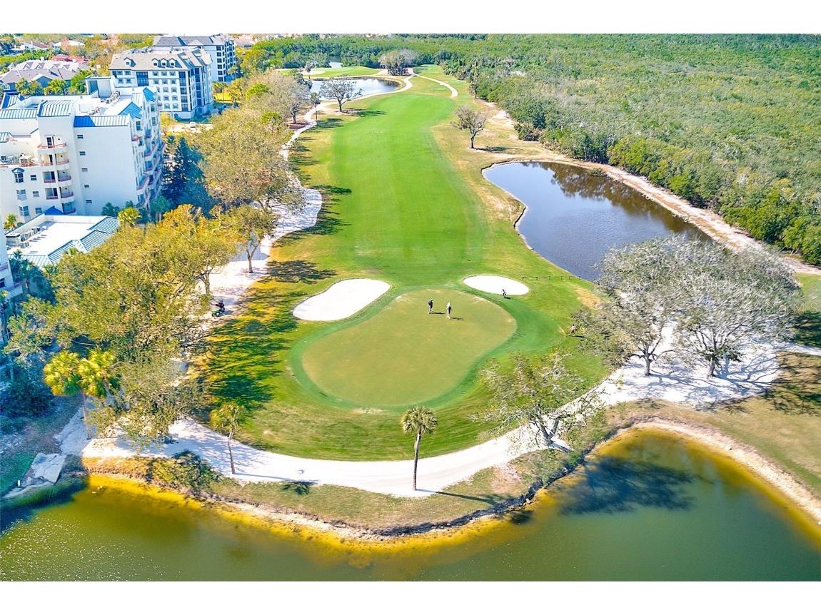 2333 Feather Sound Drive #B101 Clearwater FL 33762 TB8359793 image31