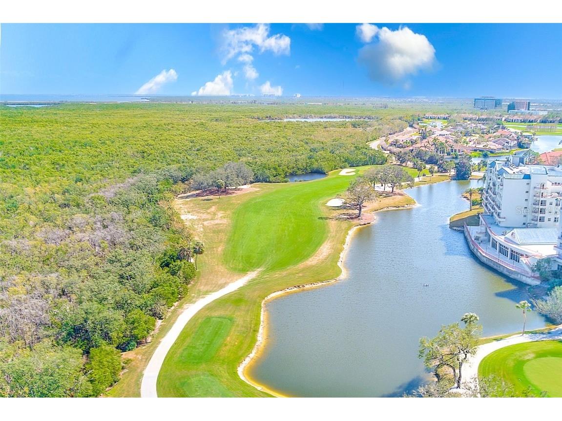 2333 Feather Sound Drive #B101 Clearwater FL 33762 TB8359793 image32