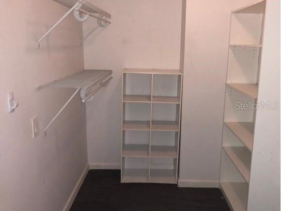 2333 Feather Sound Drive #B102 Clearwater FL 33762 TB8501826 image20