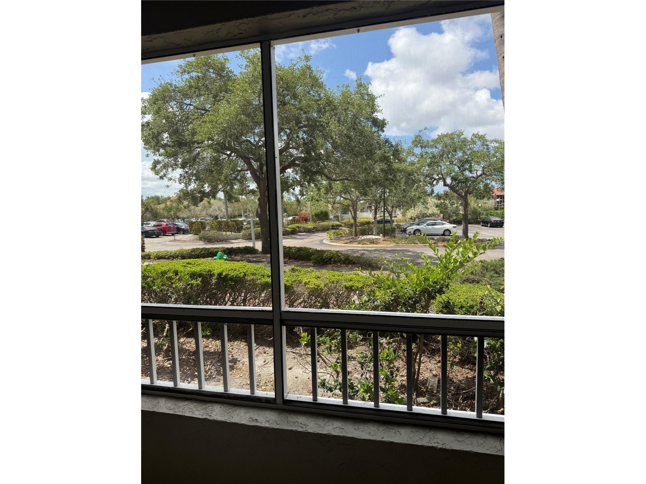 2333 Feather Sound Drive #B102 Clearwater FL 33762 TB8501826 image33
