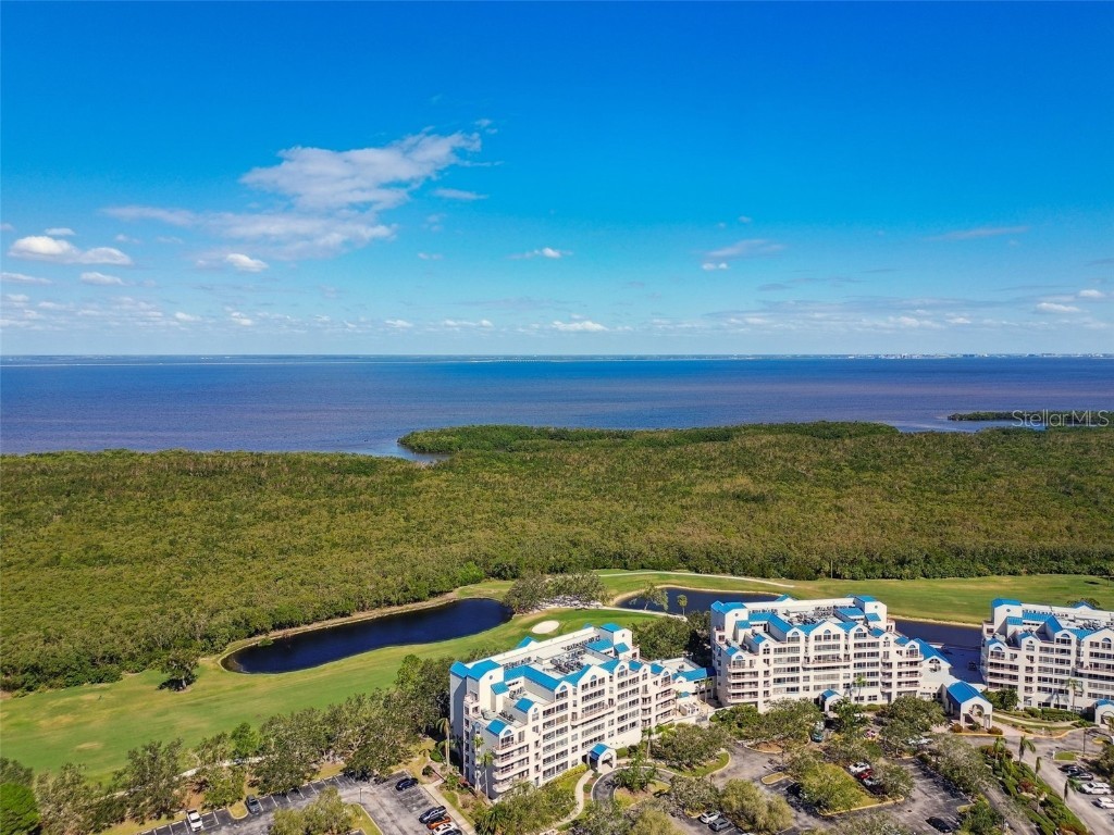 2333 Feather Sound Drive #B104 Clearwater FL 33762 TB8376853 image88