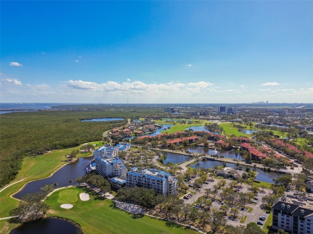 2333 Feather Sound Drive #B104 Clearwater FL 33762 TB8376853 image89