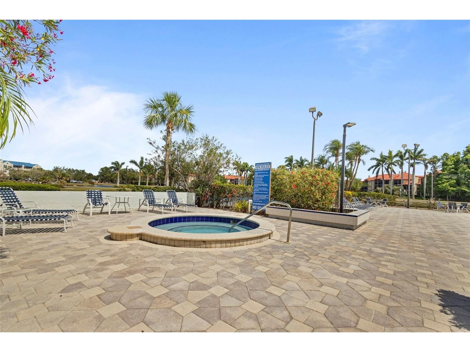 2333 Feather Sound Drive #B304 Clearwater FL 33762 - TAMPA BAY TB8462536 image22