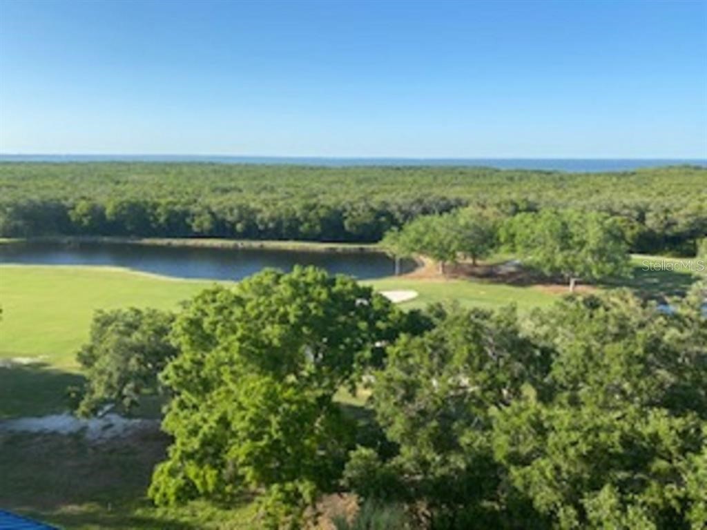 2333 Feather Sound Drive #B304 Clearwater FL 33762 - TAMPA BAY TB8462536 image4