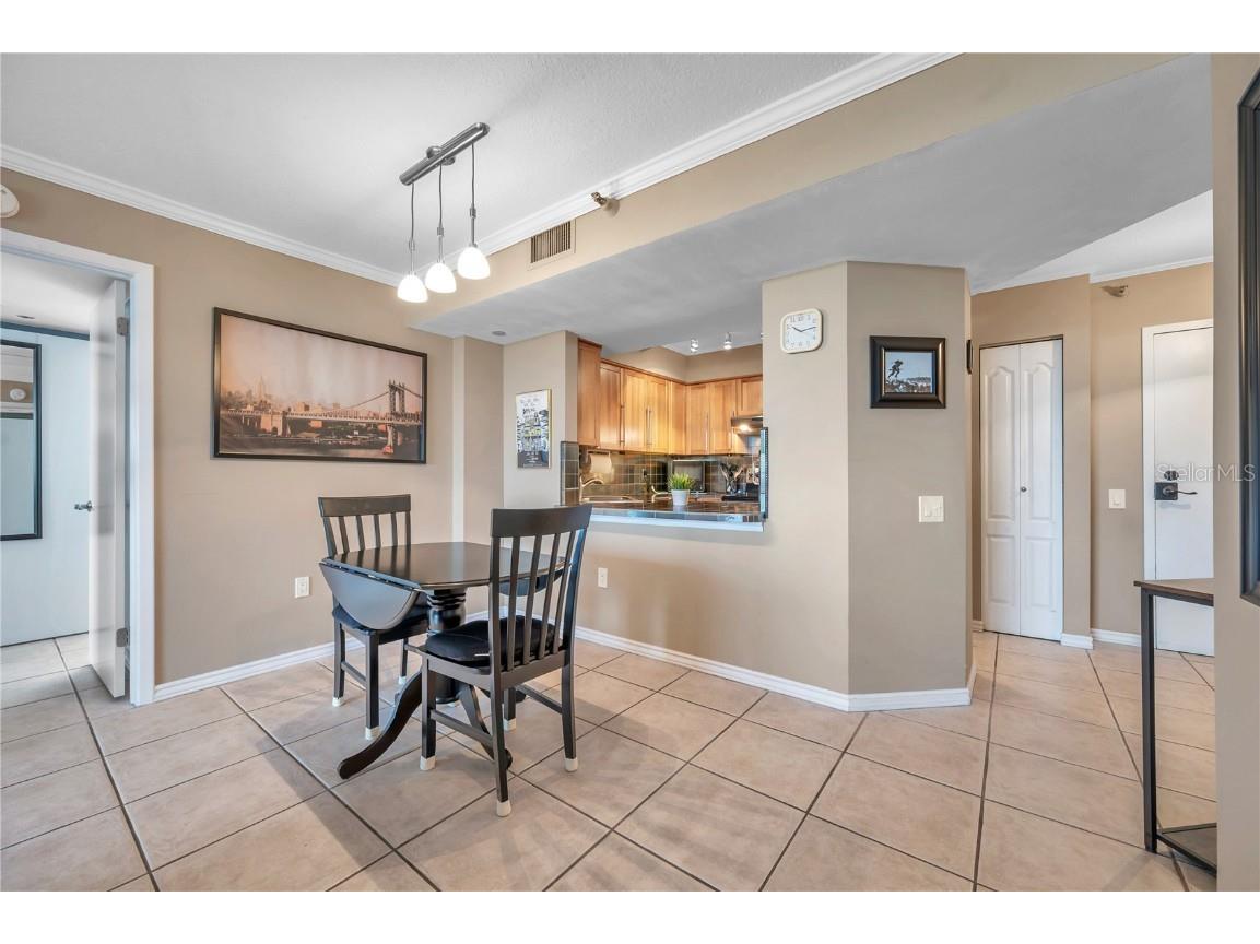 2333 Feather Sound Drive #B307 Clearwater FL 33762 TB8425631 image11