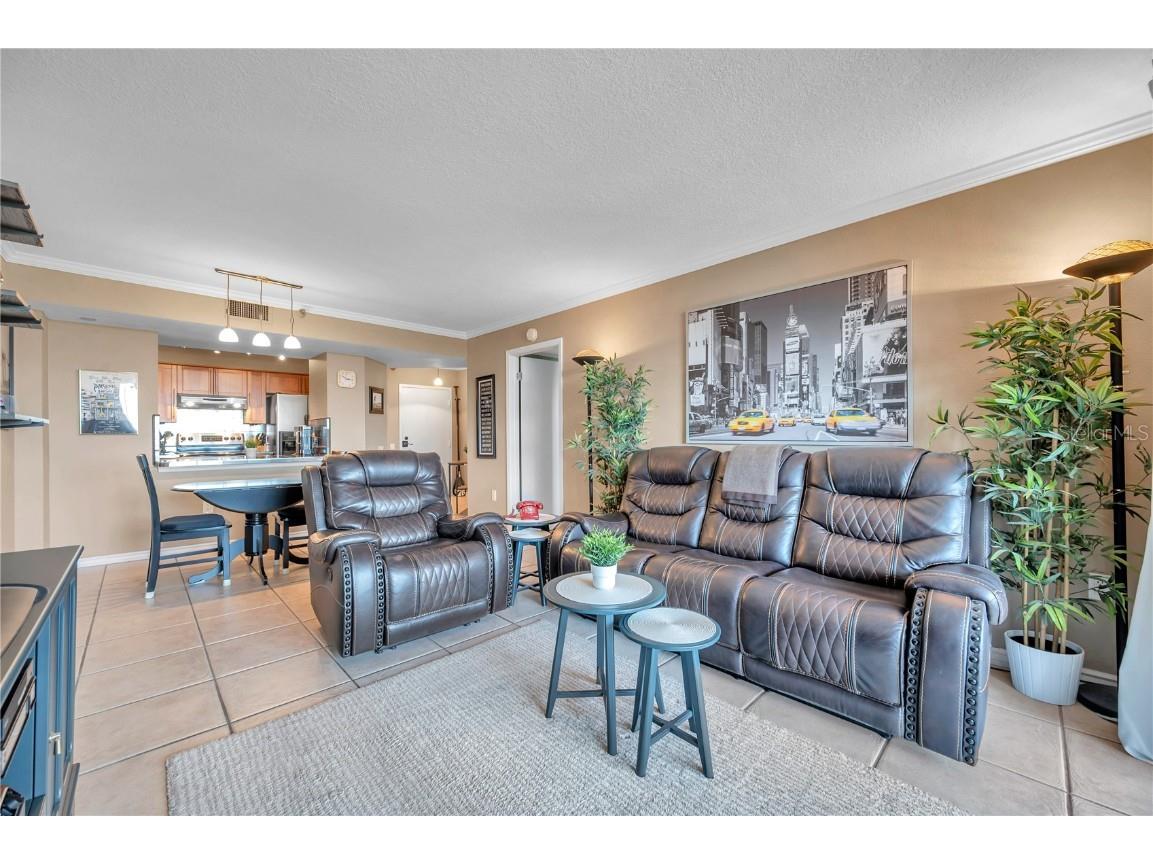 2333 Feather Sound Drive #B307 Clearwater FL 33762 TB8425631 image14