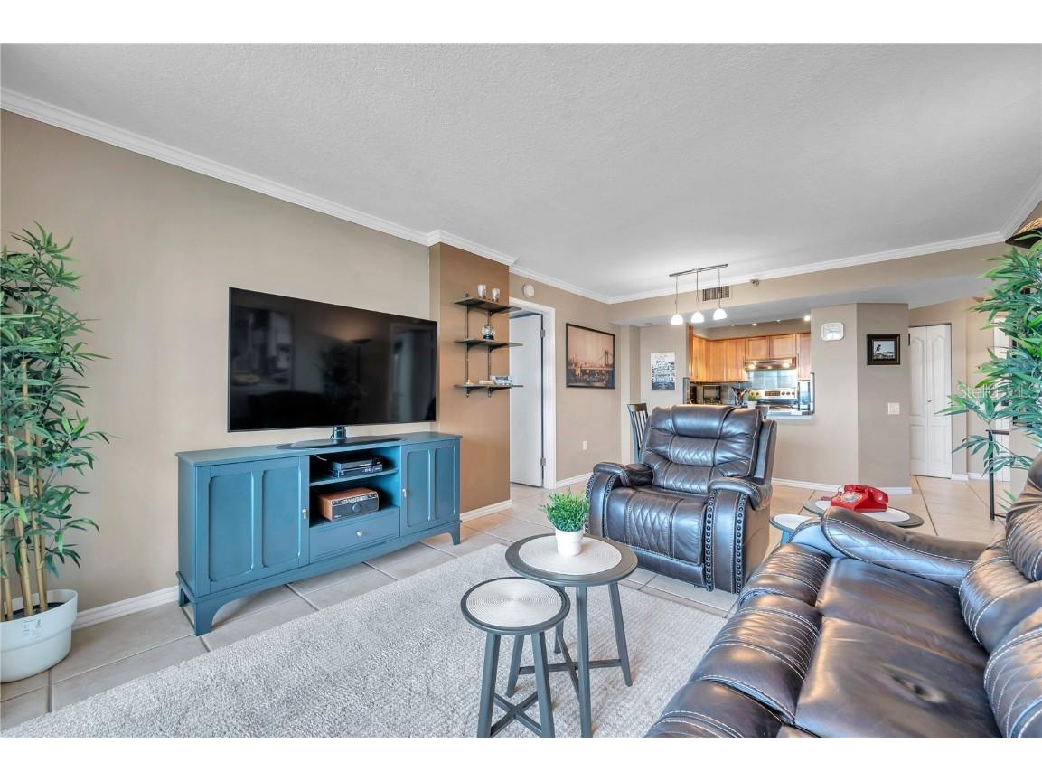 2333 Feather Sound Drive #B307 Clearwater FL 33762 TB8425631 image15