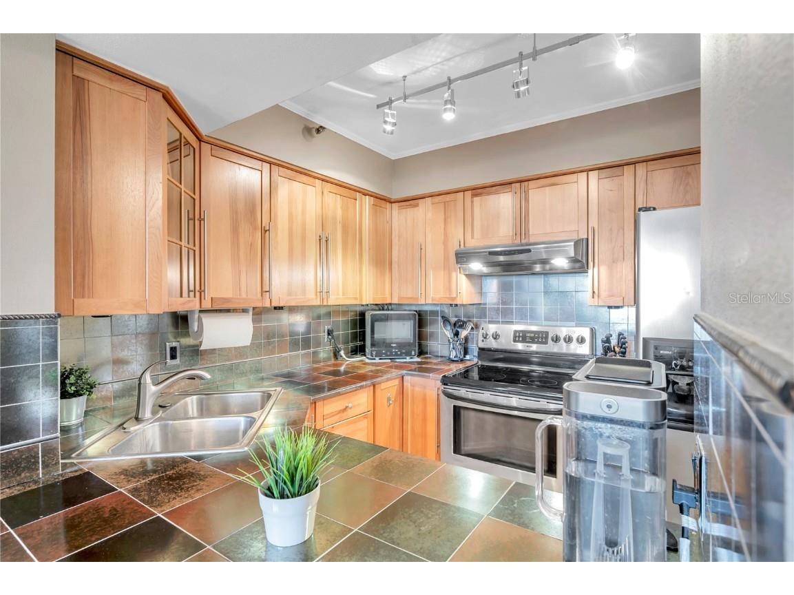 2333 Feather Sound Drive #B307 Clearwater FL 33762 TB8425631 image16