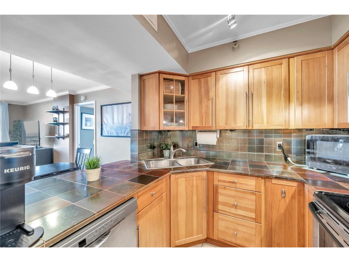 2333 Feather Sound Drive #B307 Clearwater FL 33762 TB8425631 image19