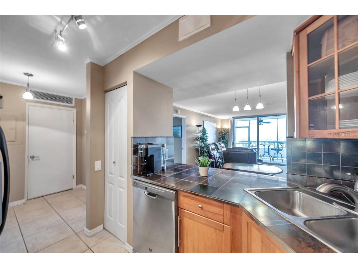 2333 Feather Sound Drive #B307 Clearwater FL 33762 TB8425631 image20