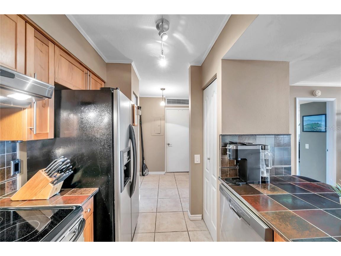 2333 Feather Sound Drive #B307 Clearwater FL 33762 TB8425631 image21