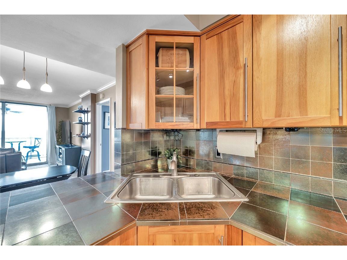 2333 Feather Sound Drive #B307 Clearwater FL 33762 TB8425631 image22