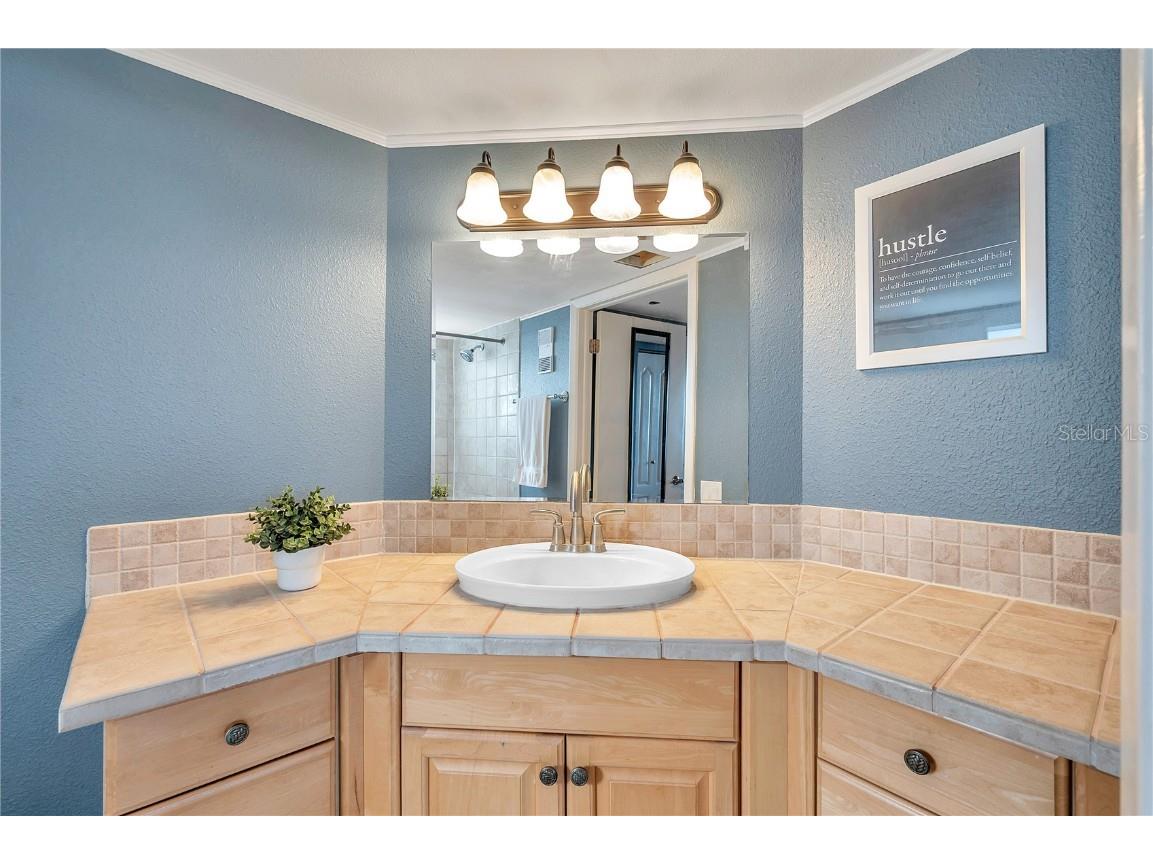 2333 Feather Sound Drive #B307 Clearwater FL 33762 TB8425631 image23