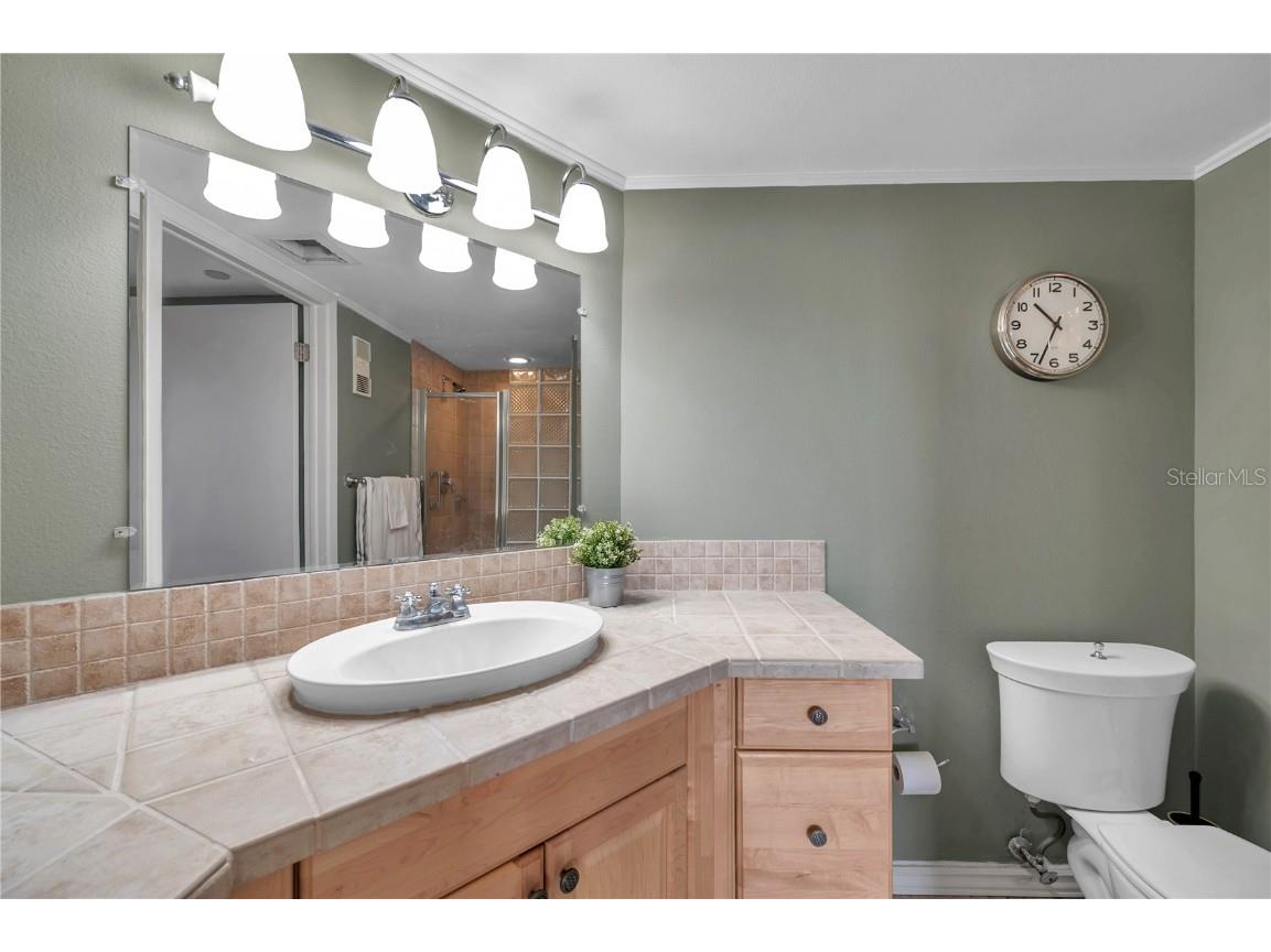 2333 Feather Sound Drive #B307 Clearwater FL 33762 TB8425631 image33