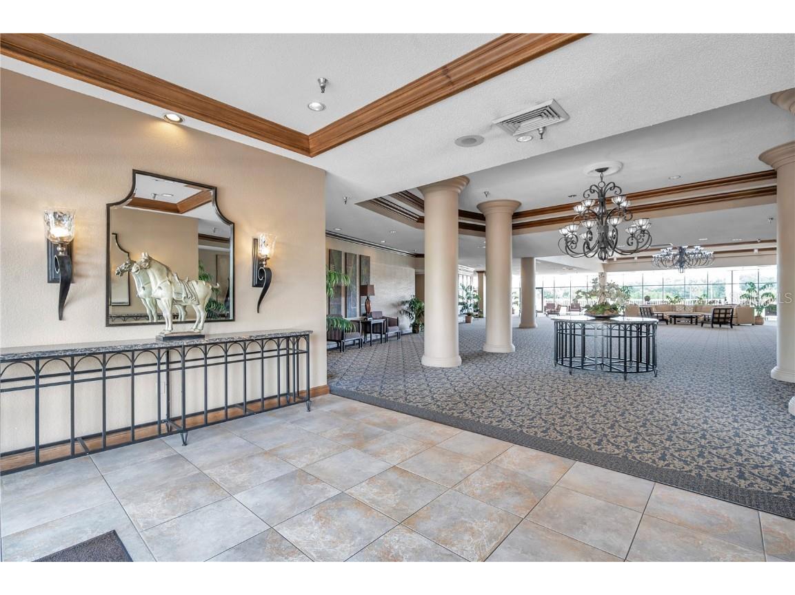 2333 Feather Sound Drive #B307 Clearwater FL 33762 TB8425631 image43