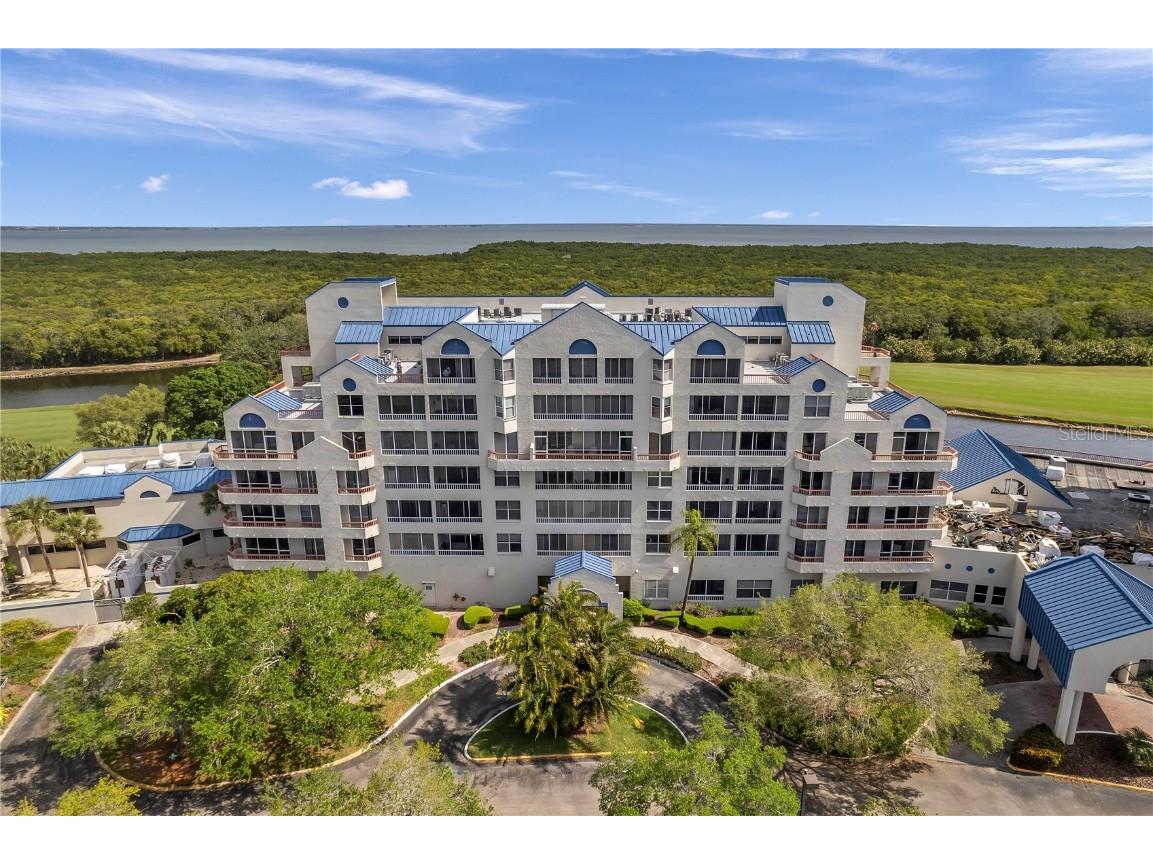 2333 Feather Sound Drive #B307 Clearwater FL 33762 TB8425631 image49