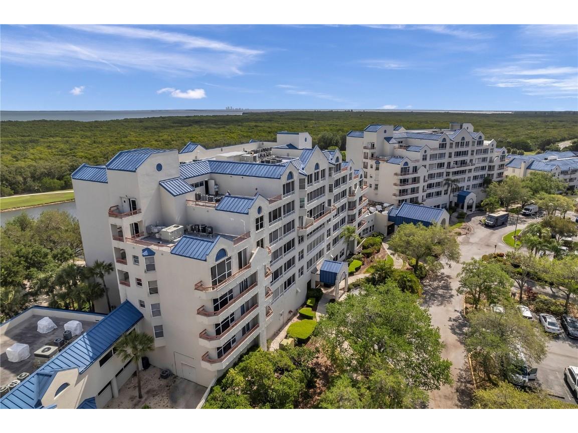 2333 Feather Sound Drive #B307 Clearwater FL 33762 TB8425631 image50