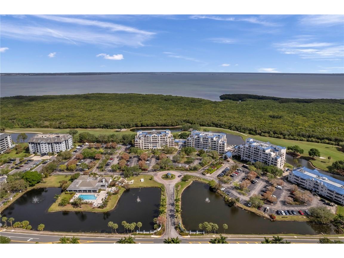 2333 Feather Sound Drive #B307 Clearwater FL 33762 TB8425631 image57