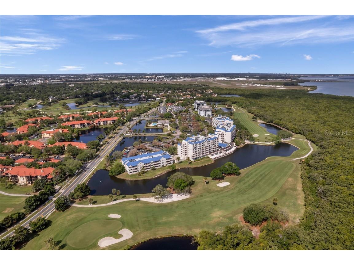 2333 Feather Sound Drive #B307 Clearwater FL 33762 TB8425631 image58