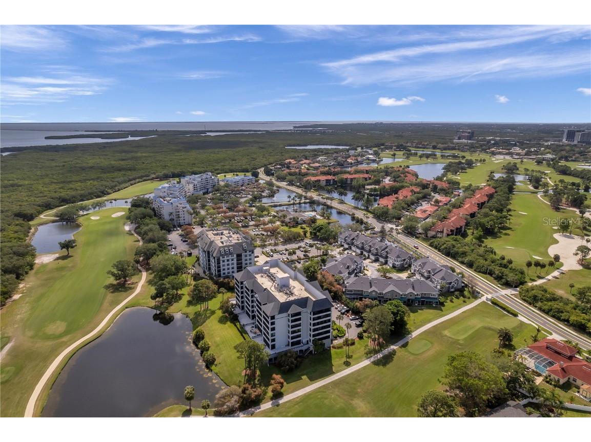 2333 Feather Sound Drive #B307 Clearwater FL 33762 TB8425631 image60