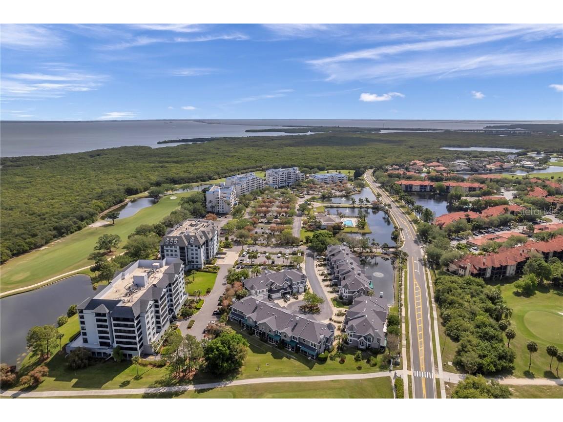 2333 Feather Sound Drive #B307 Clearwater FL 33762 TB8425631 image61