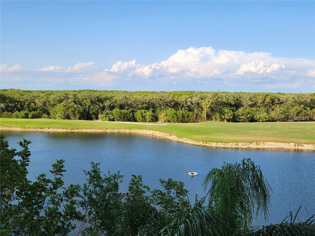 2333 Feather Sound Drive #B307 Clearwater FL 33762 TB8425631 image62