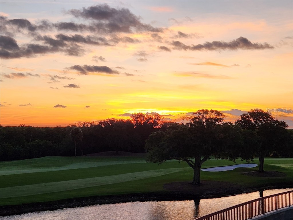 2333 Feather Sound Drive #B307 Clearwater FL 33762 TB8425631 image63