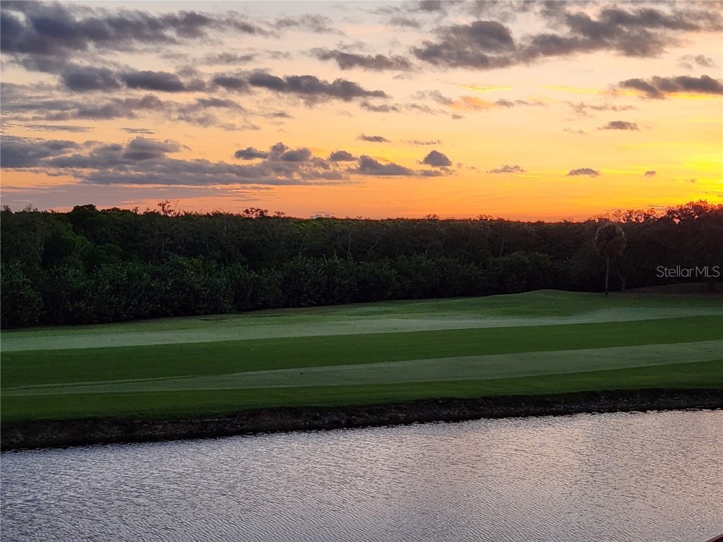 2333 Feather Sound Drive #B307 Clearwater FL 33762 TB8425631 image64