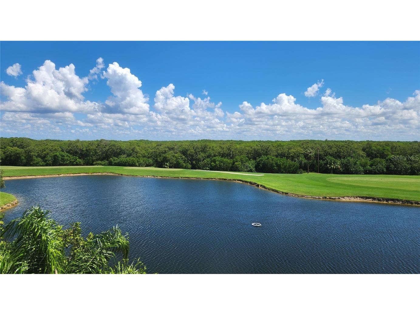 2333 Feather Sound Drive #B307 Clearwater FL 33762 TB8425631 image65