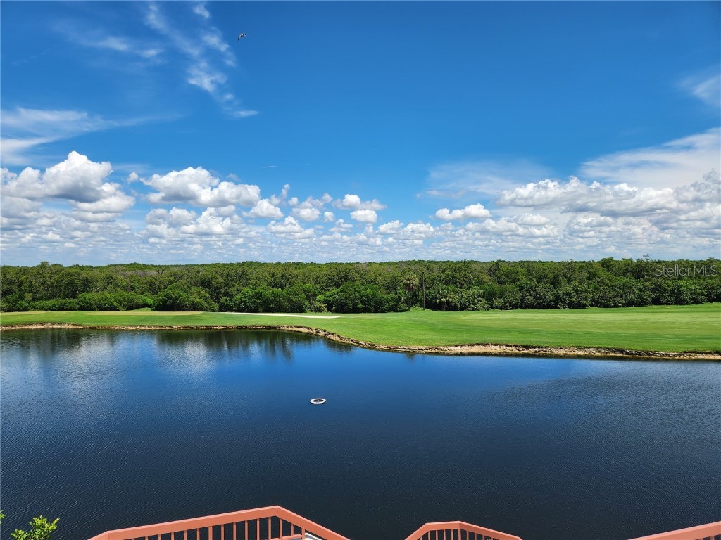 2333 Feather Sound Drive #B307 Clearwater FL 33762 TB8425631 image66