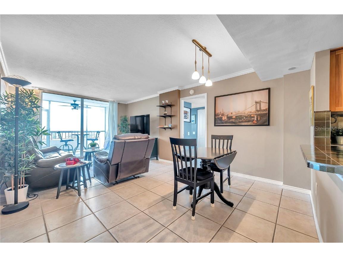 2333 Feather Sound Drive #B307 Clearwater FL 33762 TB8425631 image8