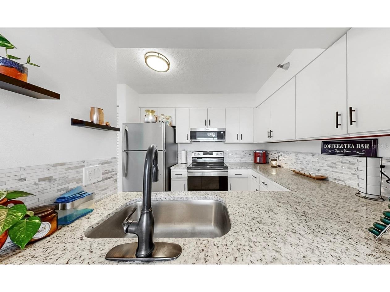 2333 Feather Sound Drive #B309 Clearwater FL 33762 TB8384109 image12