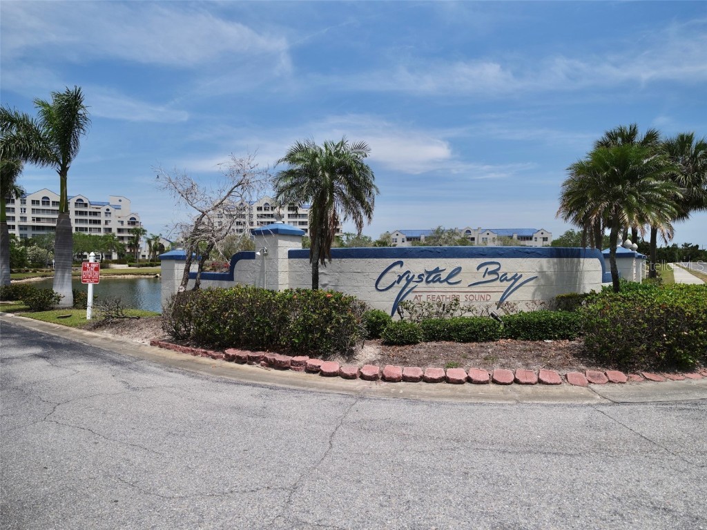 2333 Feather Sound Drive #B309 Clearwater FL 33762 TB8384109 image32